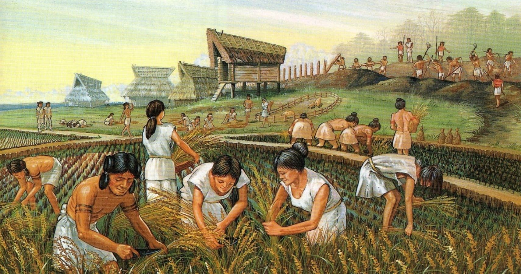 Как ученые изучают историю одомашнивания растений