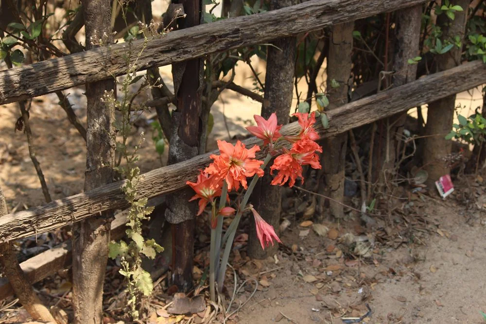 Изображения комментария